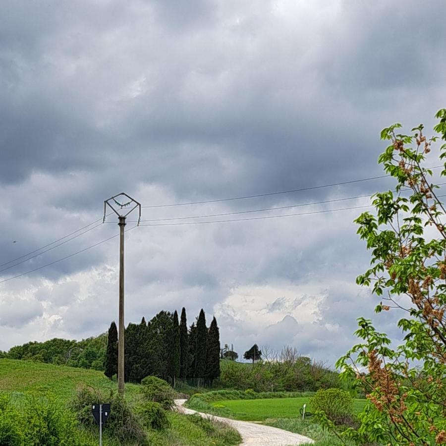 Affittacamere Alba Fiorita Castiglione dʼOrcia Exterior foto