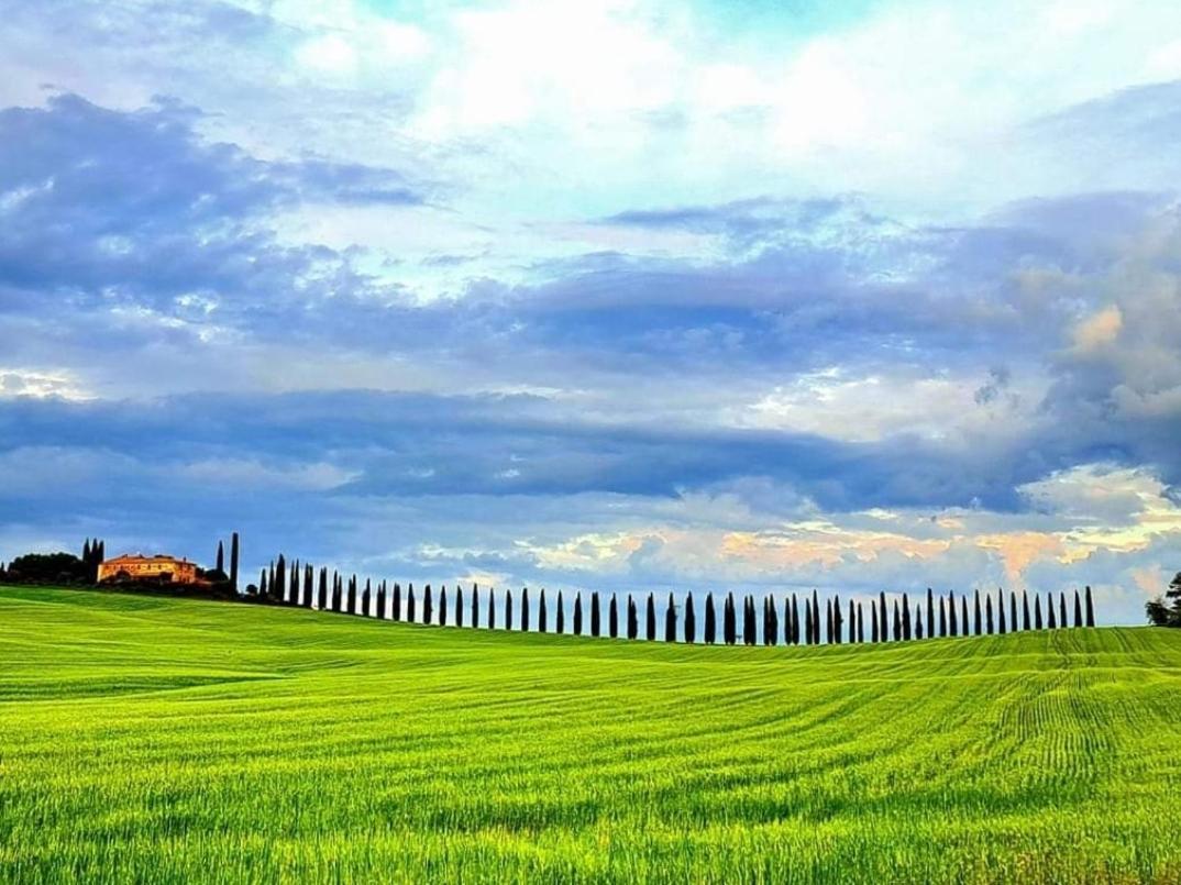 Affittacamere Alba Fiorita Castiglione dʼOrcia Exterior foto